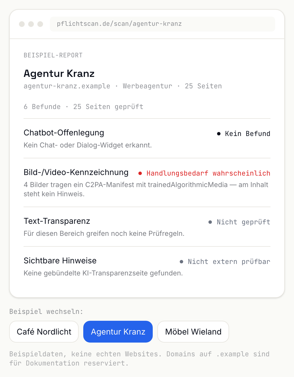 Fertiger Report mit den vier Pflichtbereichen und ihrem jeweiligen Status.